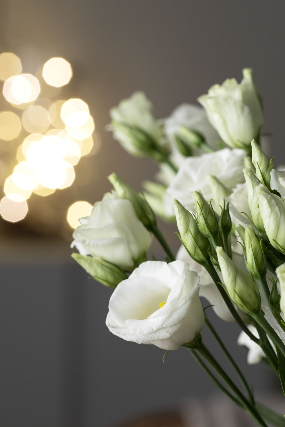 Lisianthus